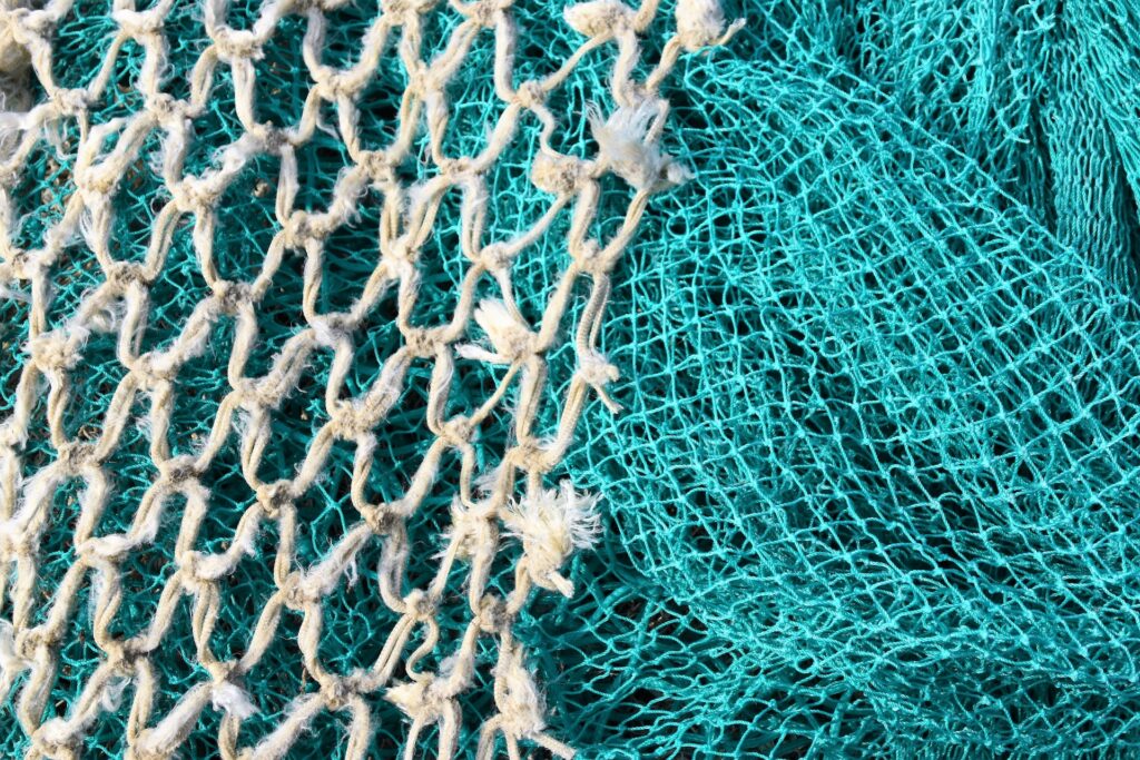 What You Need to Know Before You Start Paddle Netting